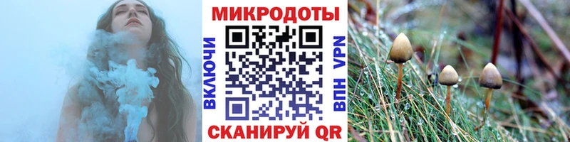 omg как зайти  купить наркотик  Судак  Псилоцибиновые грибы мицелий 